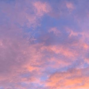 Meet your Posher, Natalia